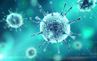 Coronavirus Update
